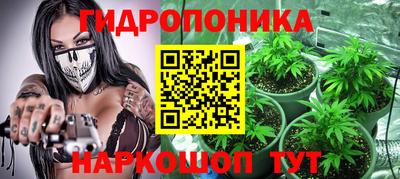твердый Пугачёв