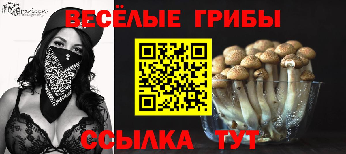 Галлюциногенные грибы мицелий  Вход с VPN  даркнет сайт  Кондопога 